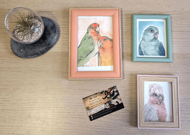 Triptyques -Cacatoès Rosalbin - Toui Céleste - Inséprables de Fisher - Illustrations originales, encadrées