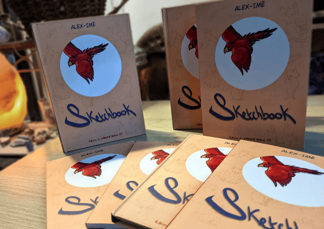 Sketchbook, version cartonnée