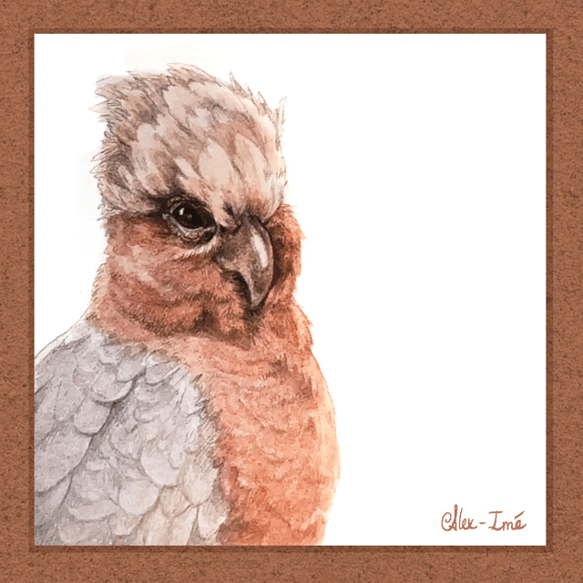 Portrait Cacatoès  Mini Exlibris Soft Touch, format 6,5x6,5 cm