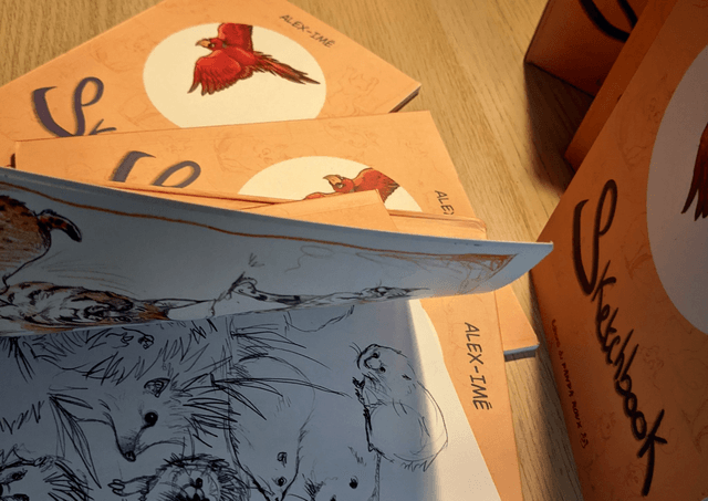 Sketchbook, version cartonnée
