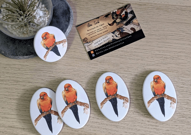 Perruche Conure, Broche Soft Touch ovale