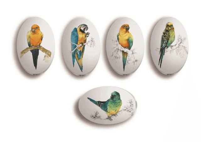 Perruche Conure, Broche Soft Touch ovale