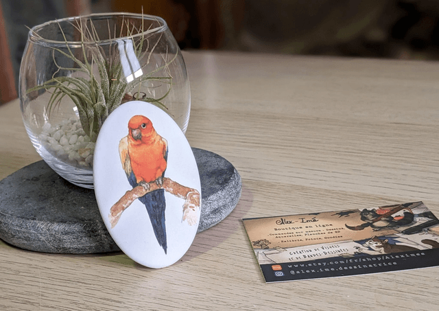 Perruche Conure, Broche Soft Touch ovale