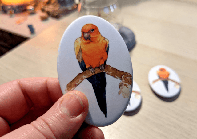 Perruche Conure, Broche Soft Touch ovale