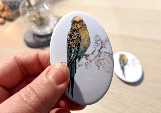 Perruche Ondulée, Broche Soft Touch ovale