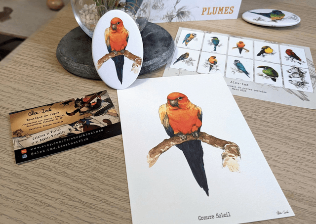 Perruche Conure, Broche Soft Touch ovale