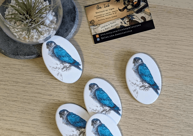 Conure Molinae, Broche Soft Touch ovale