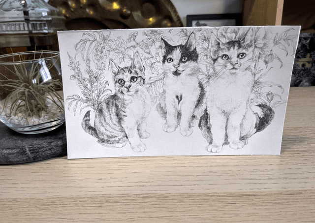 Trois Petits chats, 11x19cm